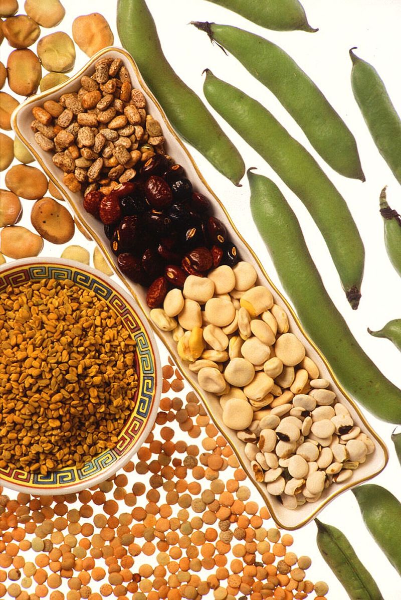 Pulses & Grains